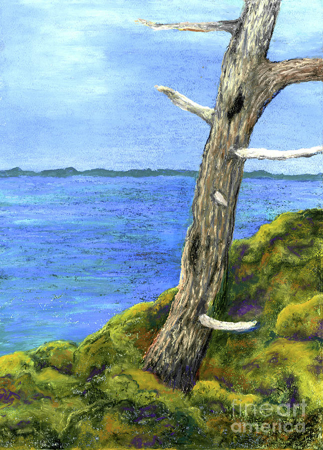 Old Trunk by the Water Painting by Ginny Neece