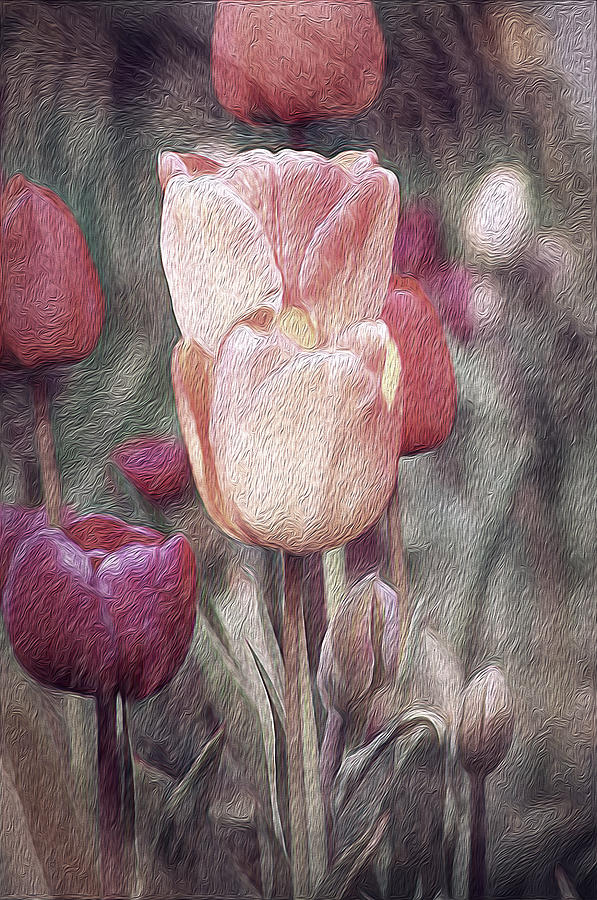 Old Tulip Oil Painting Digital Art by Renette Coachman
