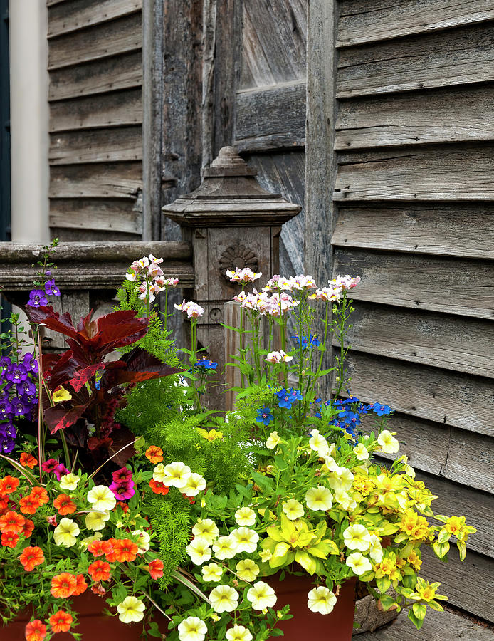 Old Tyme Color Photograph by Ginger Stein | Fine Art America