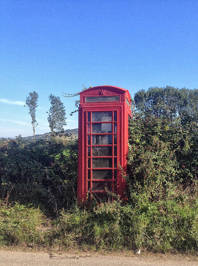 Old type of telephone box, overgrown Photograph by larigan - Patricia Hamilton