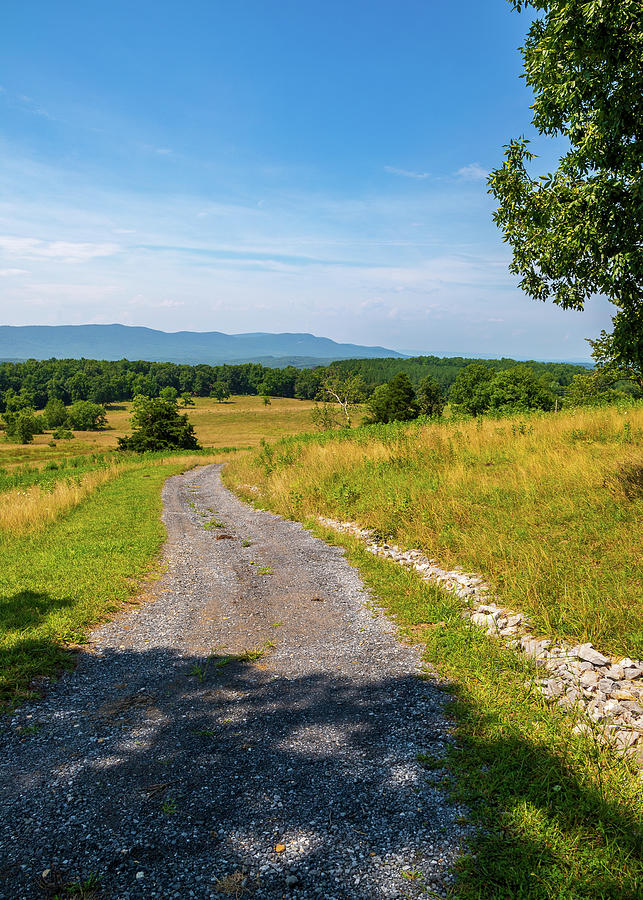 Old Valley Lane Photograph by David Beard Fine Art America