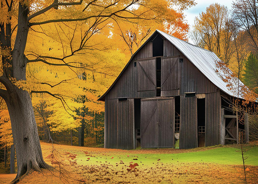 Old Vermont Barn Amongst The Pines Photograph by David Dehner