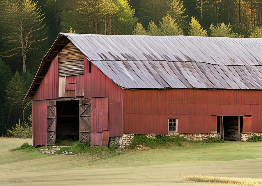 Old Vermont Barn Sunlight Pines Photograph by David Dehner