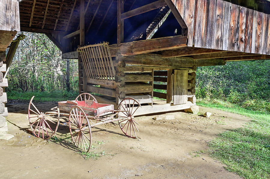 Old Wagon And Shed Photograph by Ed Stokes