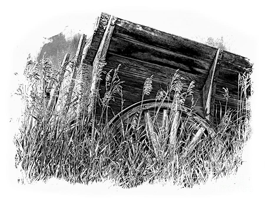 Old Wagon In The Tall Grass BW Photograph by Al Bourassa