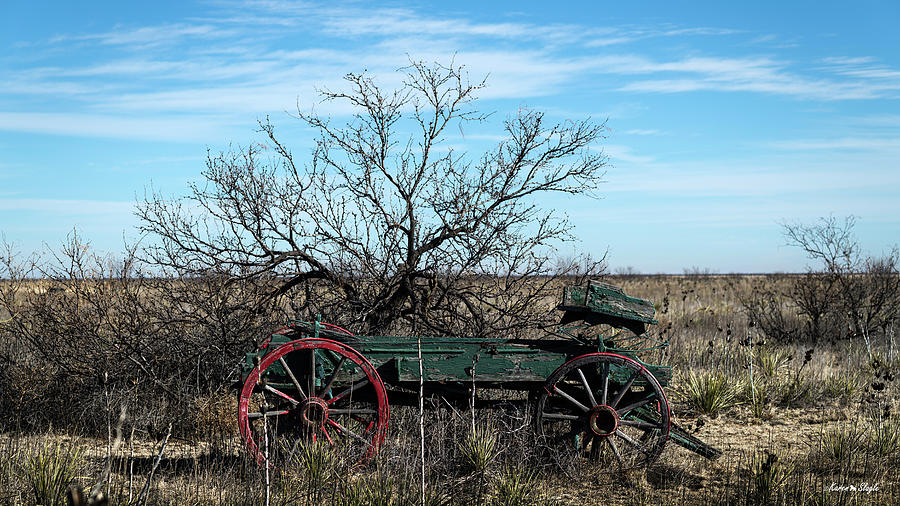 Old Wagon on the Prairie Photograph by Karen Slagle