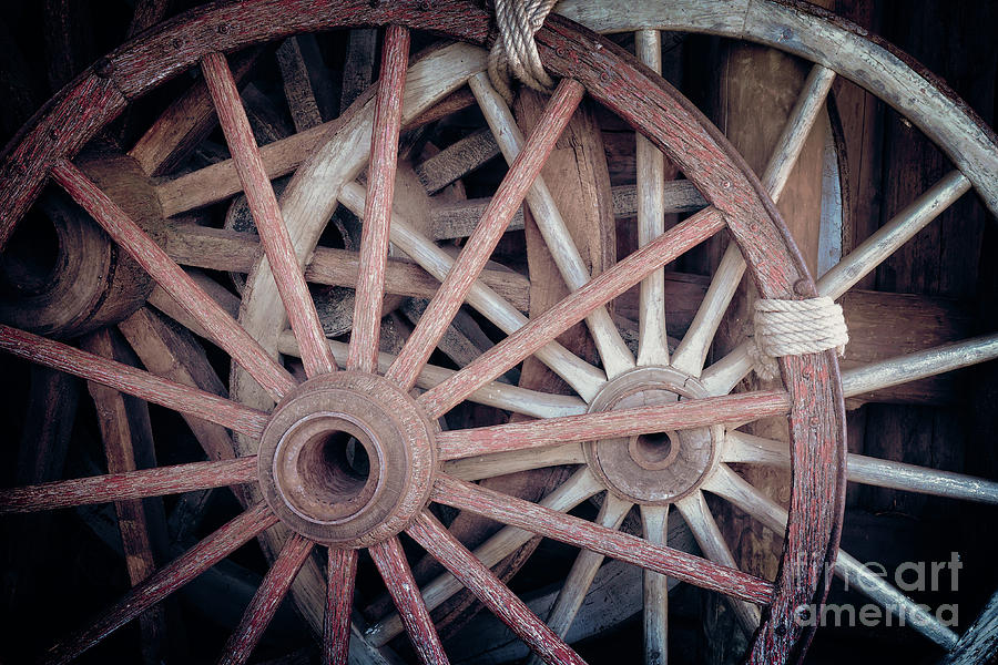 Old wagon wheels Photograph by Delphimages Photo Creations