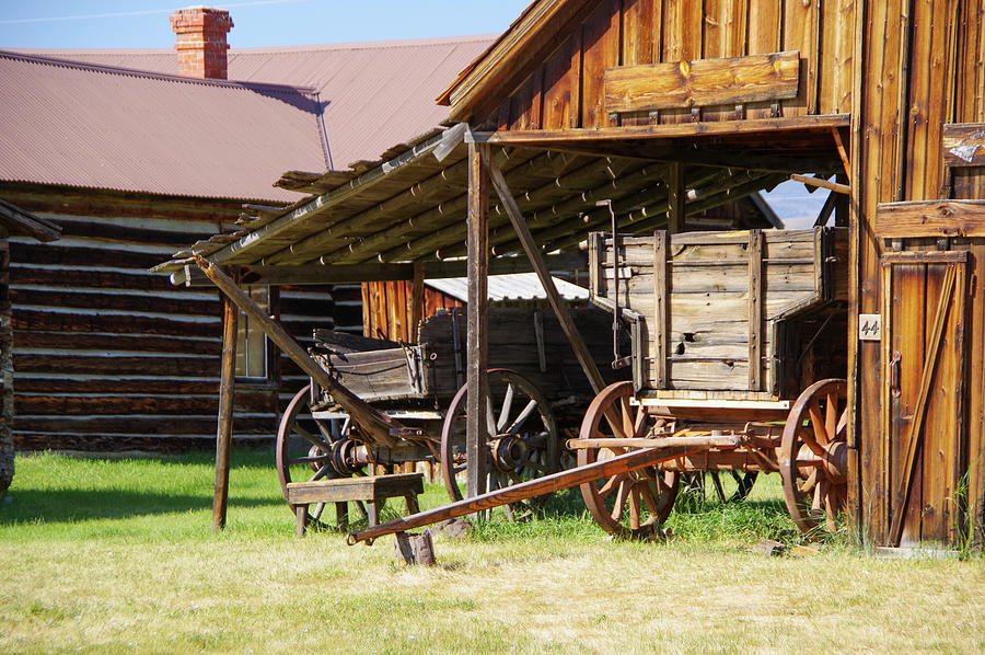 Old Wagons Photograph