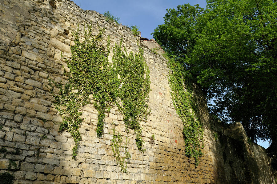 Old wall along the Promenade des remparts, Nevers, Nievre, Burgundy, France Photograph by Kevin Oke