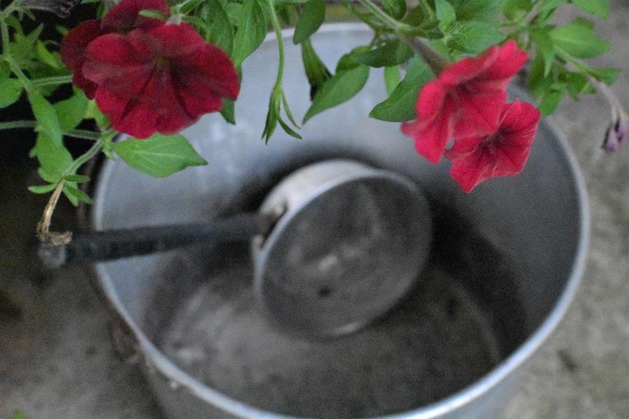 Old Water Dipper And Bucket Photograph by Lloyd Moore