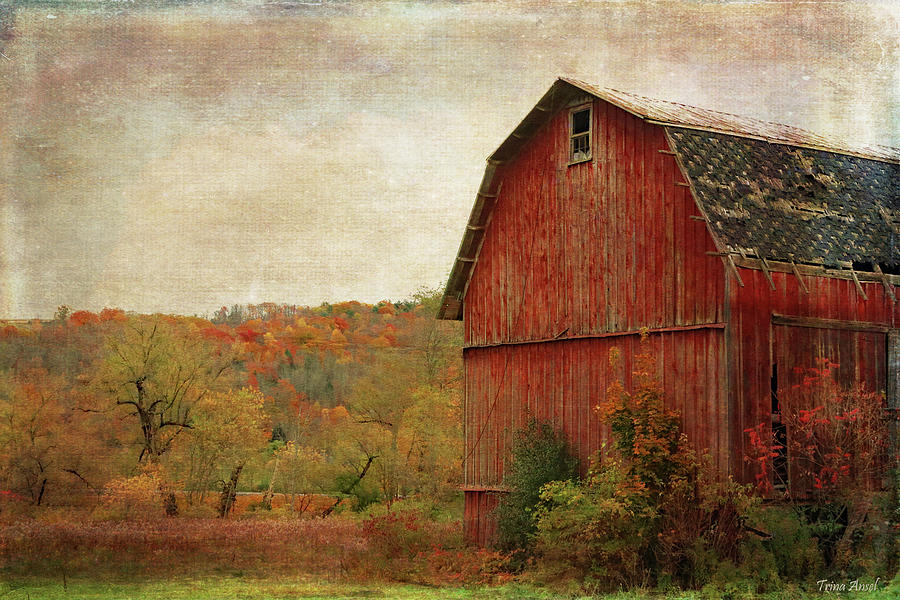 Old Weathered Barn in New York Photograph by Trina Ansel