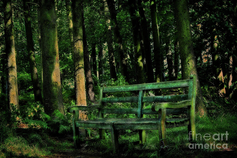 Old Weathered Bench Photograph by Yvonne Johnstone