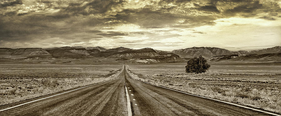 Old West Lonely Road Photograph by Ali Nasser