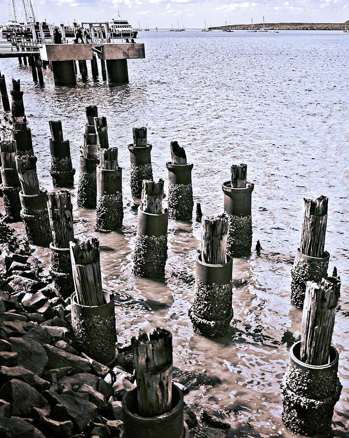 Old Wharf Preserved Photograph by Jocelyn Kahawai