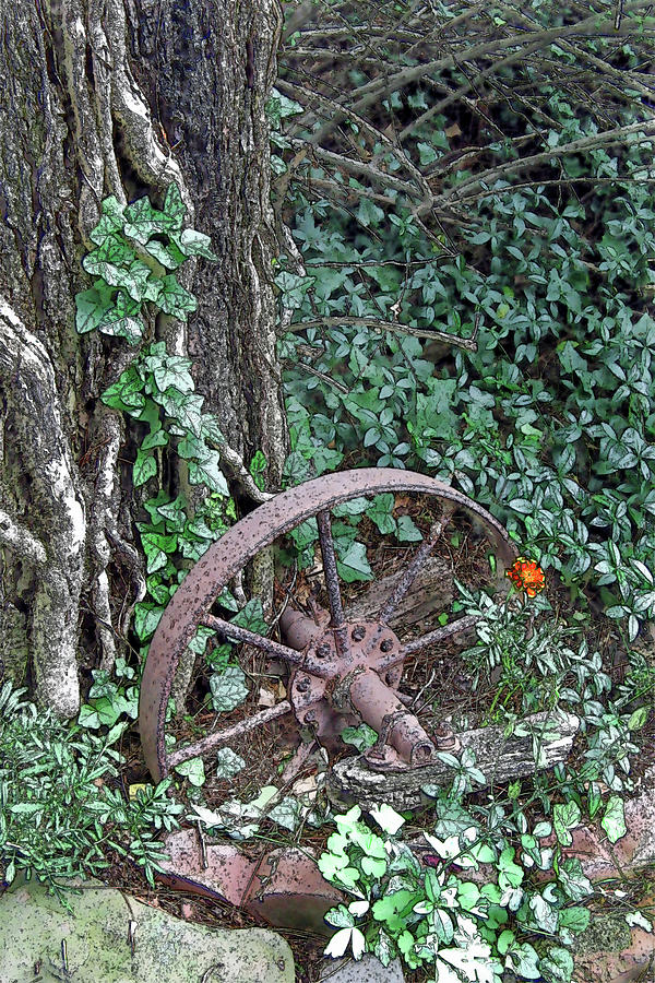 Old Wheel and Tree Digital Art by John Vincent Palozzi