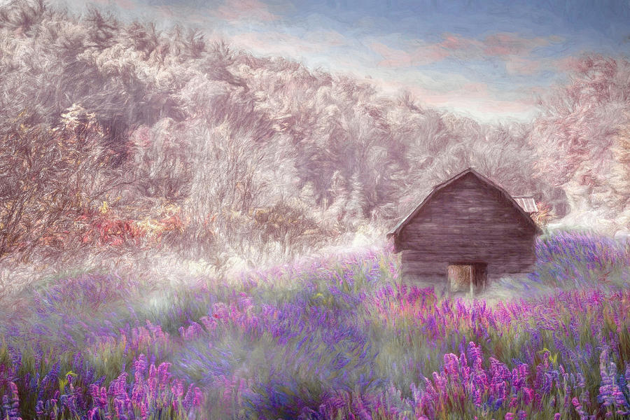 Old Wildflower Barn along the Country Roads Painting Photograph by Debra and Dave Vanderlaan