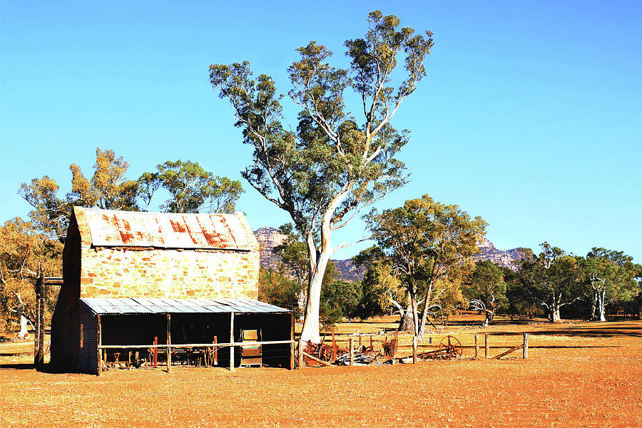 Old Wilpena Station 3 Photograph by Lexa Harpell