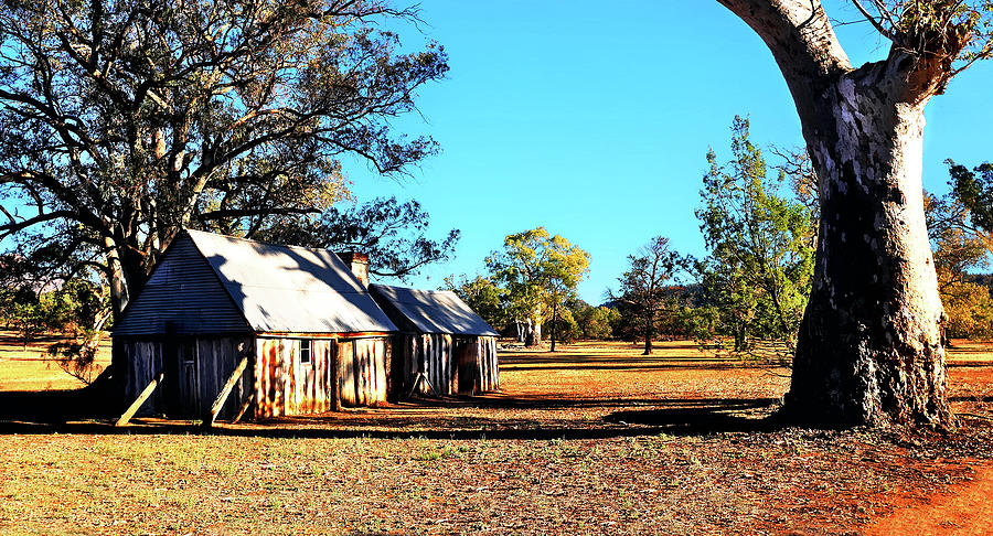 Old Wilpena Station 5 Photograph by Lexa Harpell