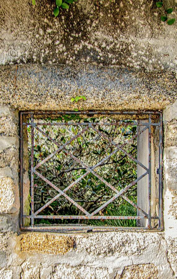 Old Photograph - Old Window by Jean Haynes