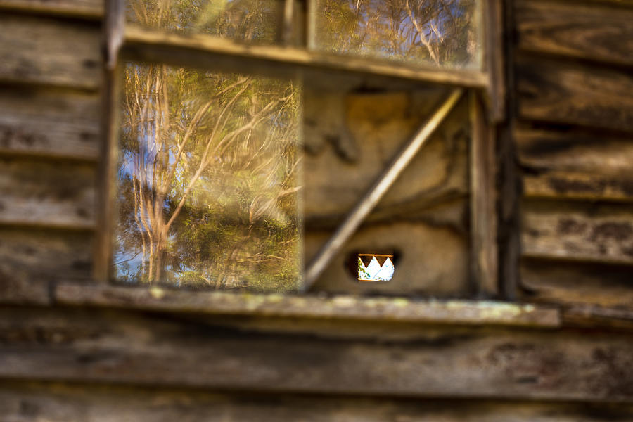 Old Window Photograph by Lianne B Loach