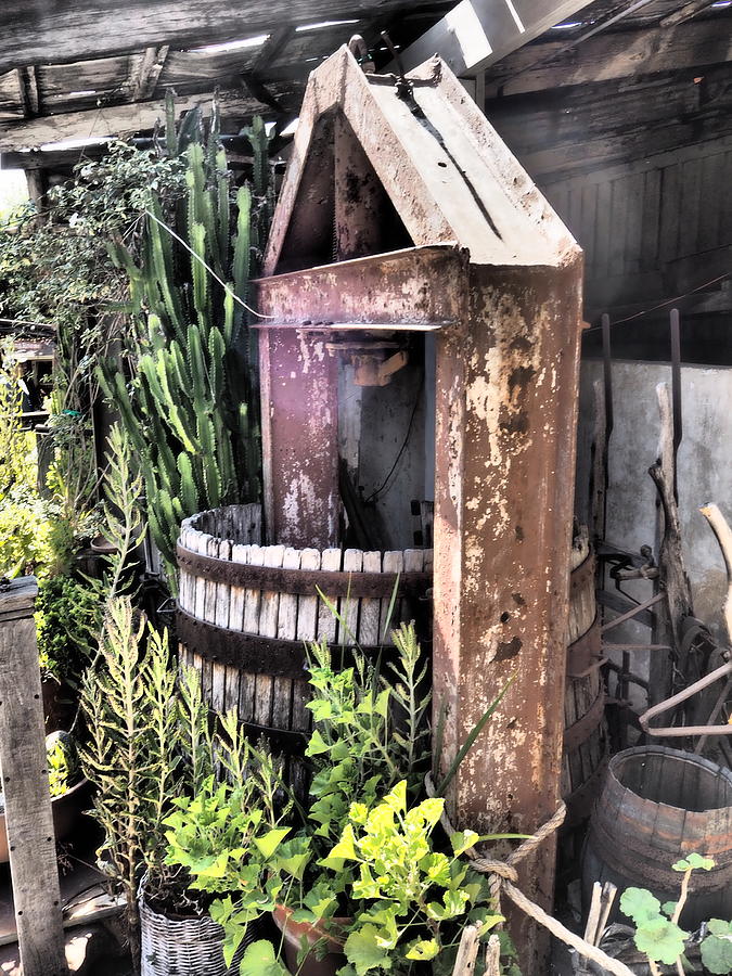 Old Wine Press Photograph by Denise Benson