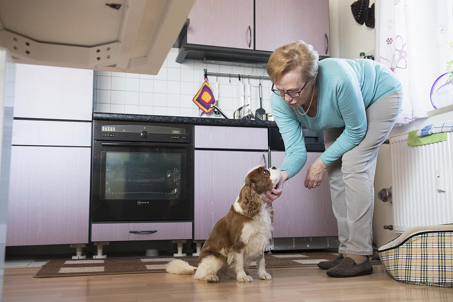 Old woman stroking her pet dog in kitchen Photograph by Dreet Production