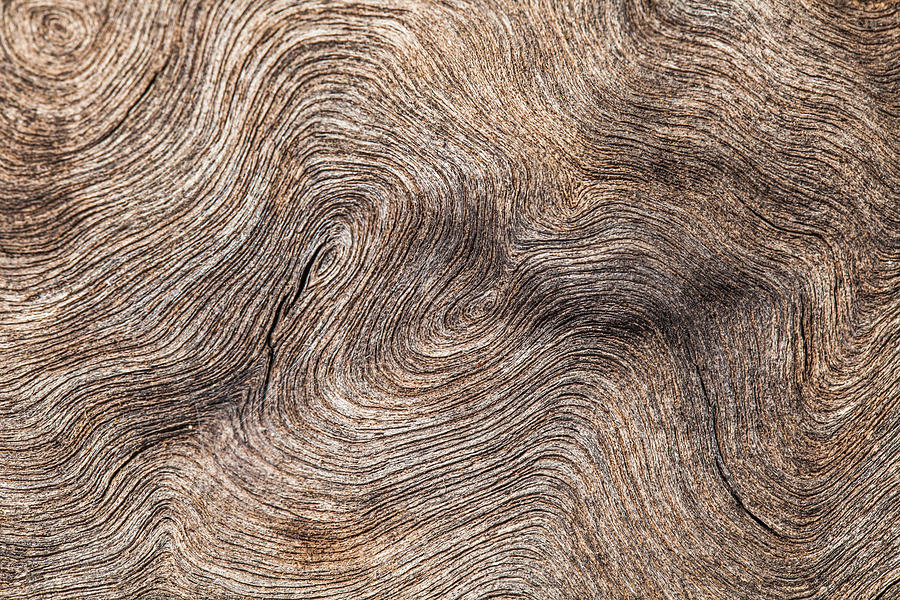 Old Wood Background Or Texture Photograph
