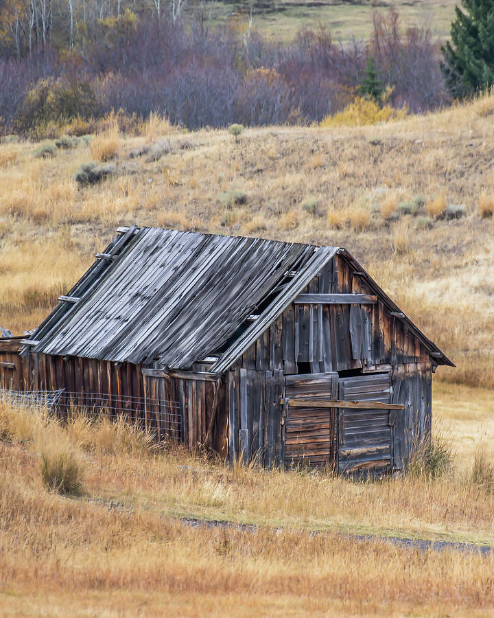 Old wood outbuilding Photograph by William Krumpelman - Fine Art America