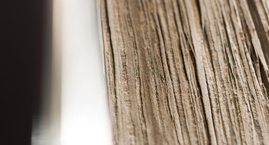 Old wood texture Photograph by LagartoFilm