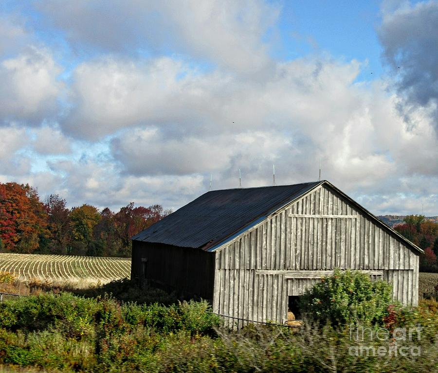 Old Wooden Barn Photograph