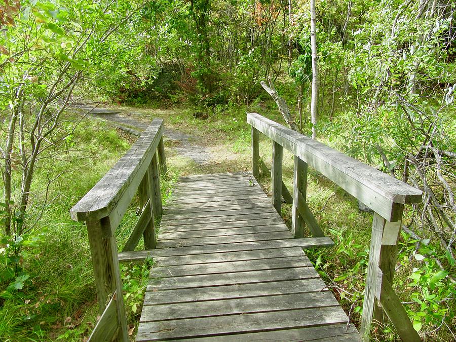 Old Wooden Bridge Photograph by Stephanie Moore