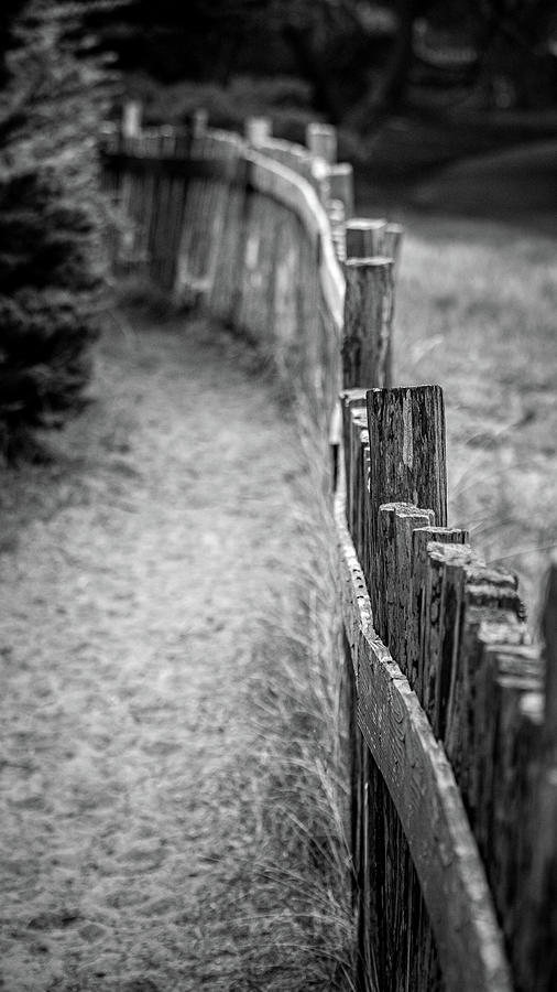 Old Wooden Fence Photograph by Mike Fusaro