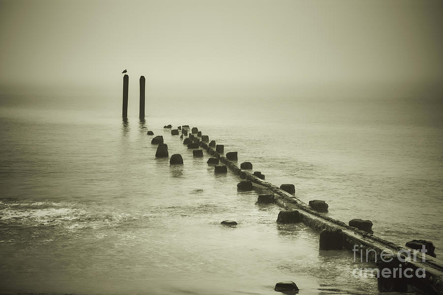 Old Wooden Jetty - Sepia Photograph