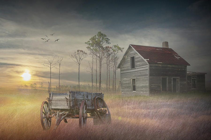 Old Wooden Wagon With Abandoned Farm House In The Morning Mist A Photograph