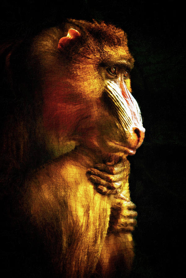 Old World Mandrill Painting by Susan Maxwell Schmidt