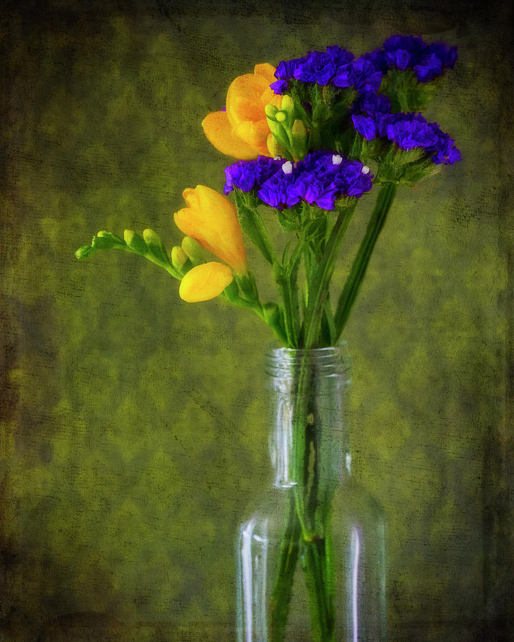 Old World Still Life Photograph by Rachel Bellenoit - Fine Art America