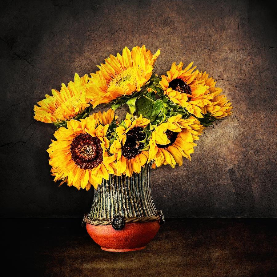 Old World Vintage Sunflowers Photograph by Sandra Selle Rodriguez