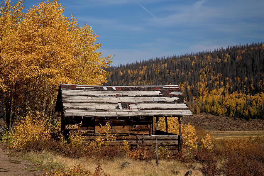 Old Worn Out Fall Photograph by Lana Trussell