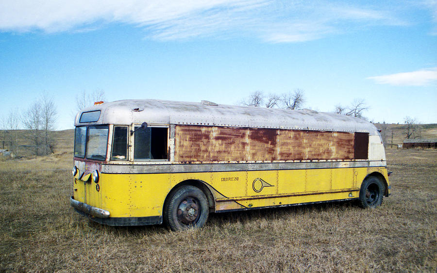Old Yellow Bus Photograph by Marilyn Hunt