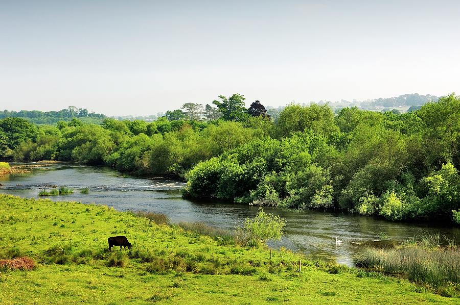 Oldbridge Ford On River Boyne Co Meath Ireland The Battle Of The Boyne Photograph By David Lyons