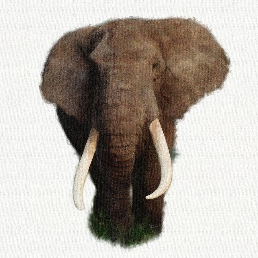 Older Male Elephant Digital Art by Russ Harris
