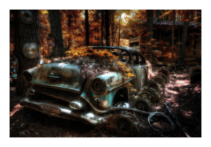 Oldsmobile in the woods Photograph by ARTtography by David Bruce Kawchak
