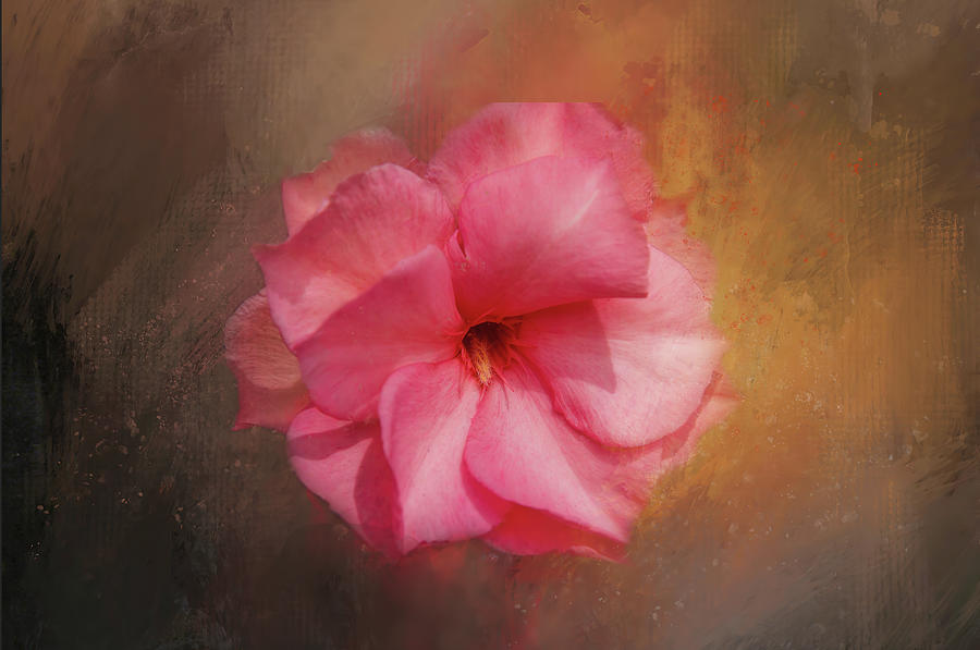Oleander Beauty Digital Art by Terry Davis