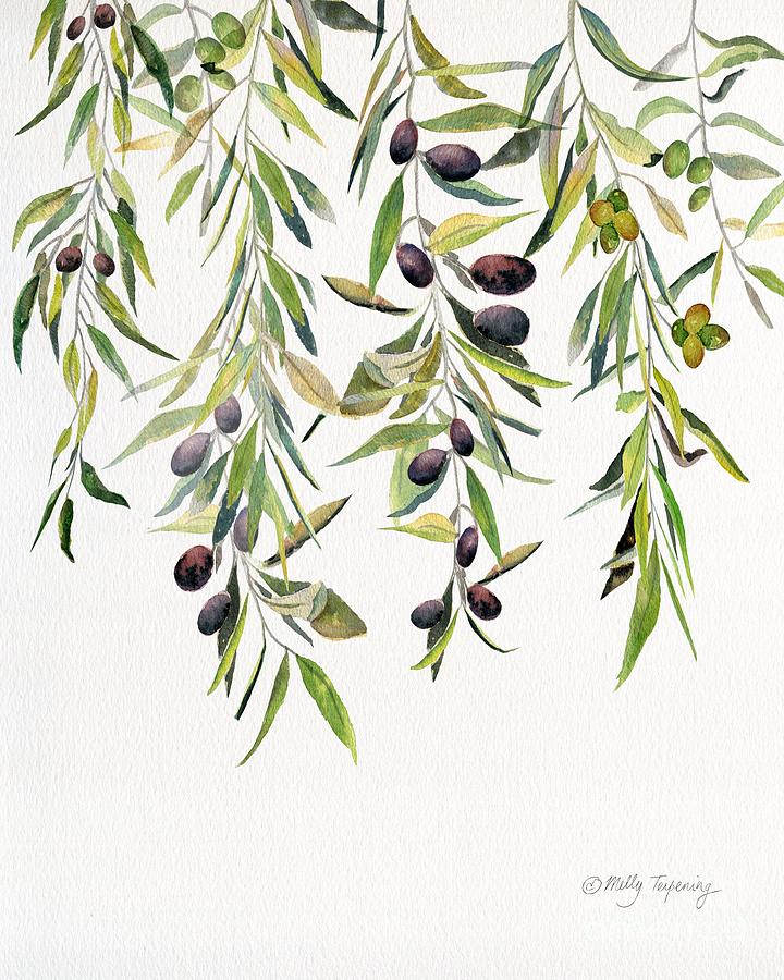 Olive Branch Watercolor Painting by Melly Terpening