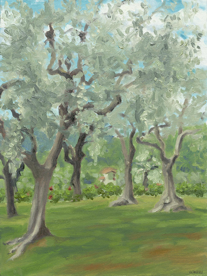 Olive grove Painting by Constanza Weiss