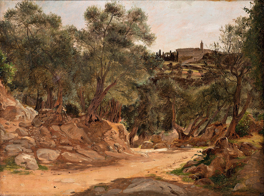 Olive Grove from Tivoli near Rome Painting by Jorgen Roed