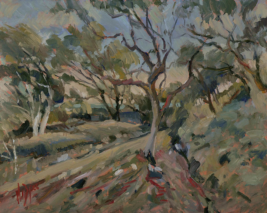 Olive grove Painting by Nop Briex