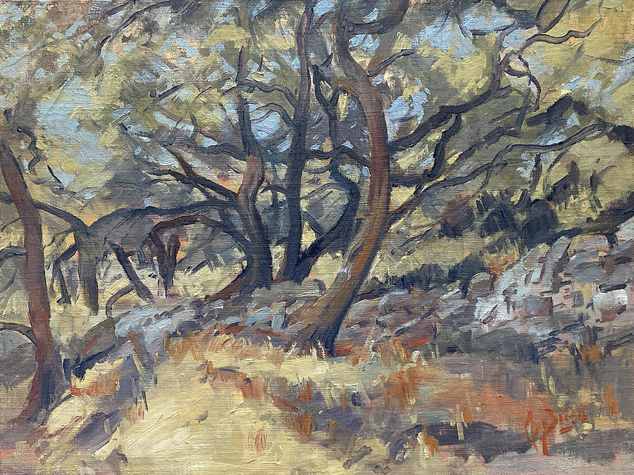 Olive grove with stone wall Painting by Nop Briex