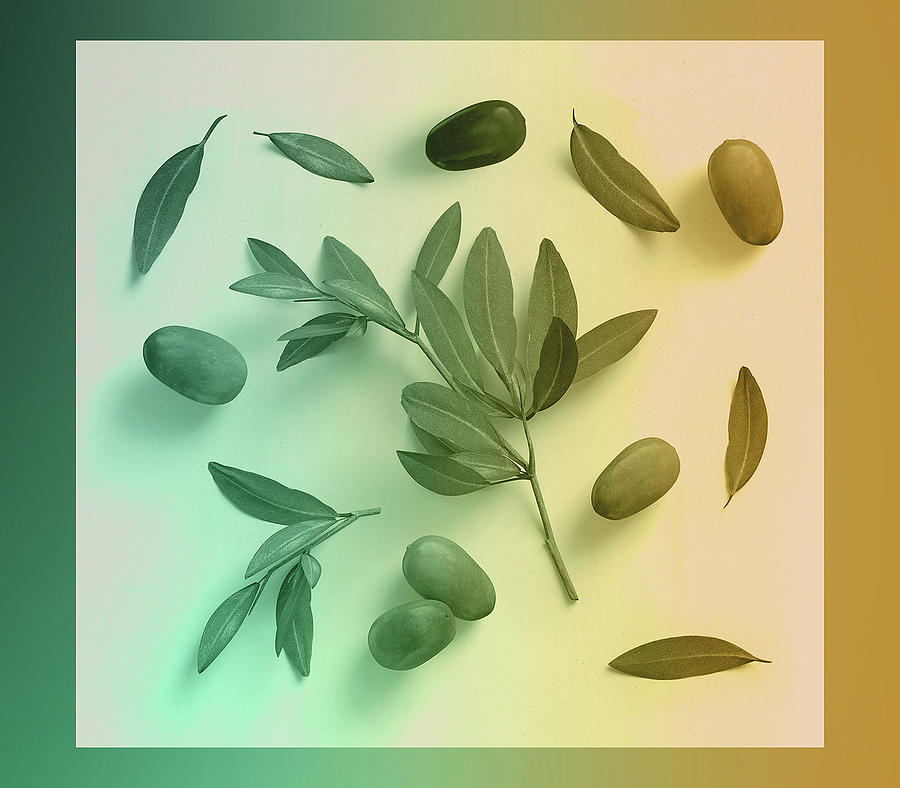 Olive Leaves And Olives by Johanna Hurmerinta Olive Leaves And Olives by Johanna Hurmerinta