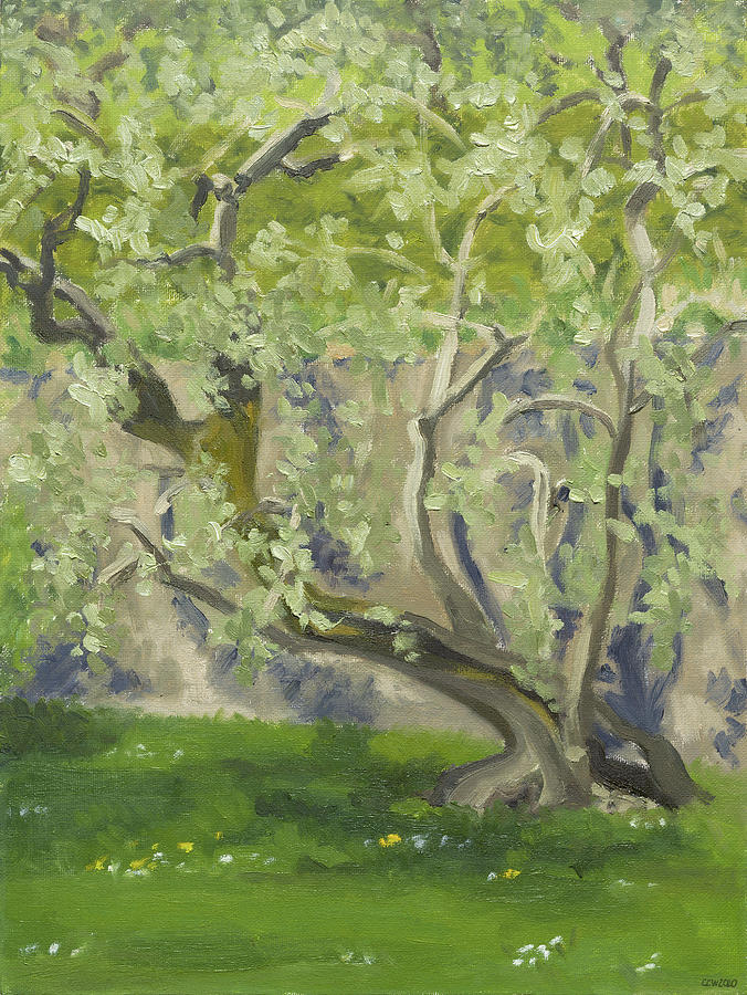 Olive tree Painting by Constanza Weiss